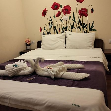 Vila Poienita Caciulata Călimăneşti Zewnętrze zdjęcie