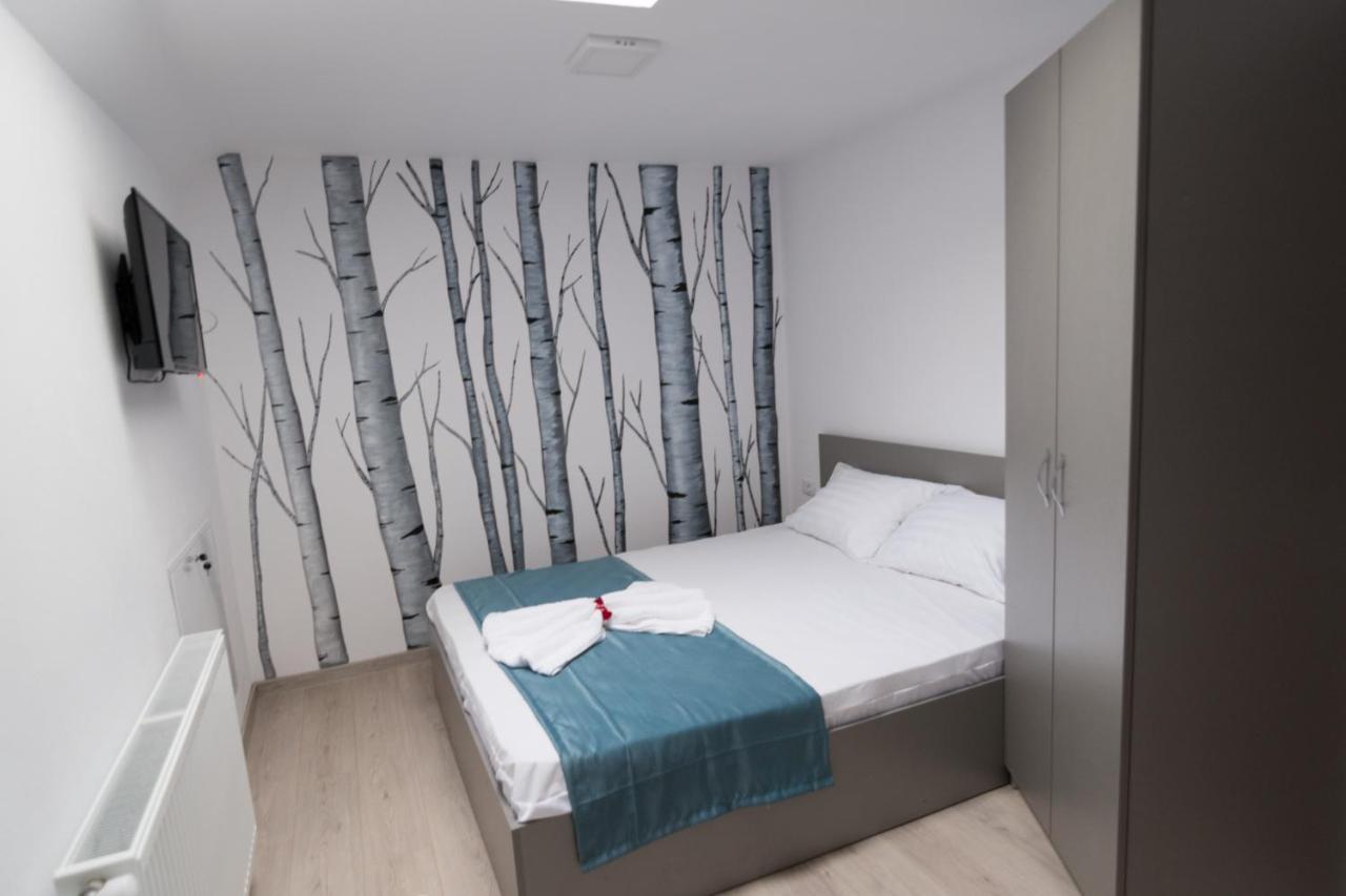 Vila Poienita Caciulata Călimăneşti Zewnętrze zdjęcie