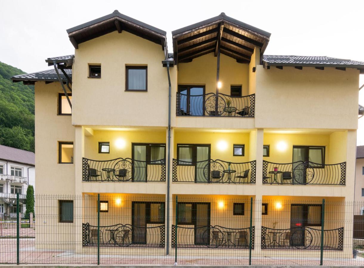 Vila Poienita Caciulata Călimăneşti Zewnętrze zdjęcie