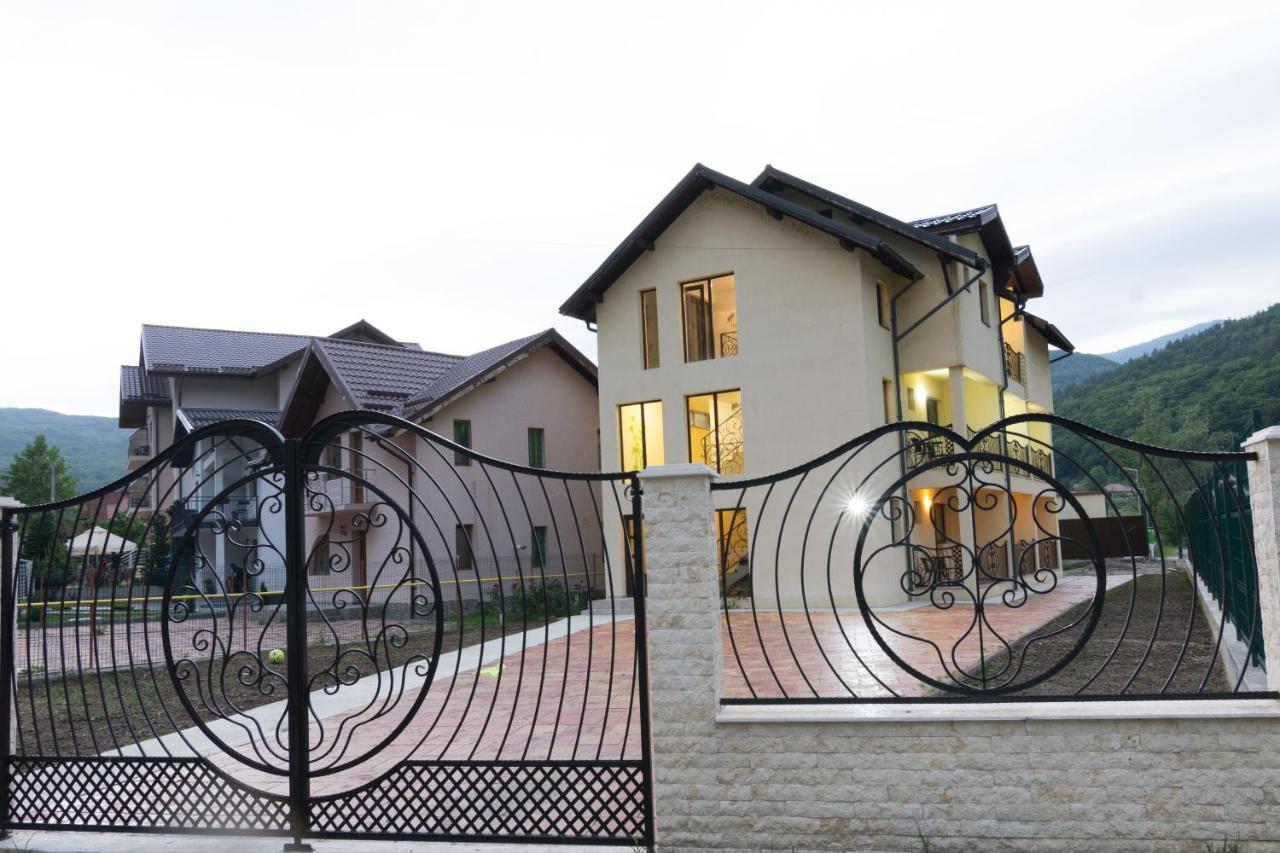 Vila Poienita Caciulata Călimăneşti Zewnętrze zdjęcie