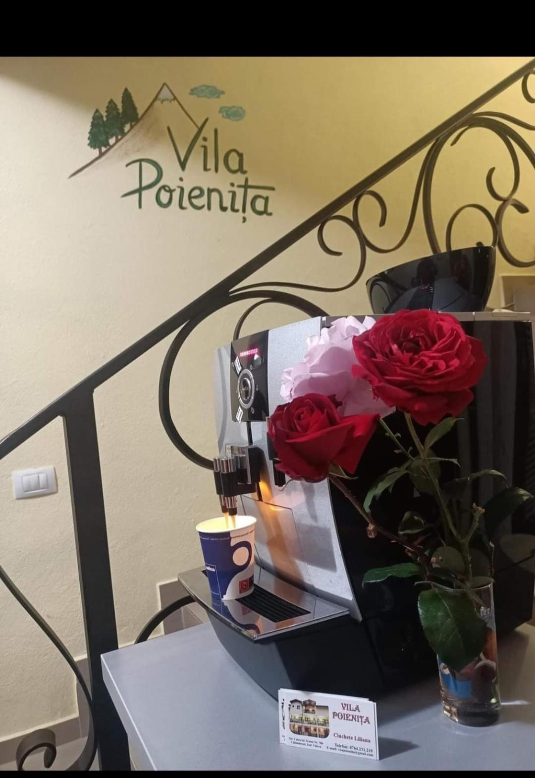 Vila Poienita Caciulata Călimăneşti Zewnętrze zdjęcie